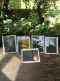 Postcard Set: Bangalore