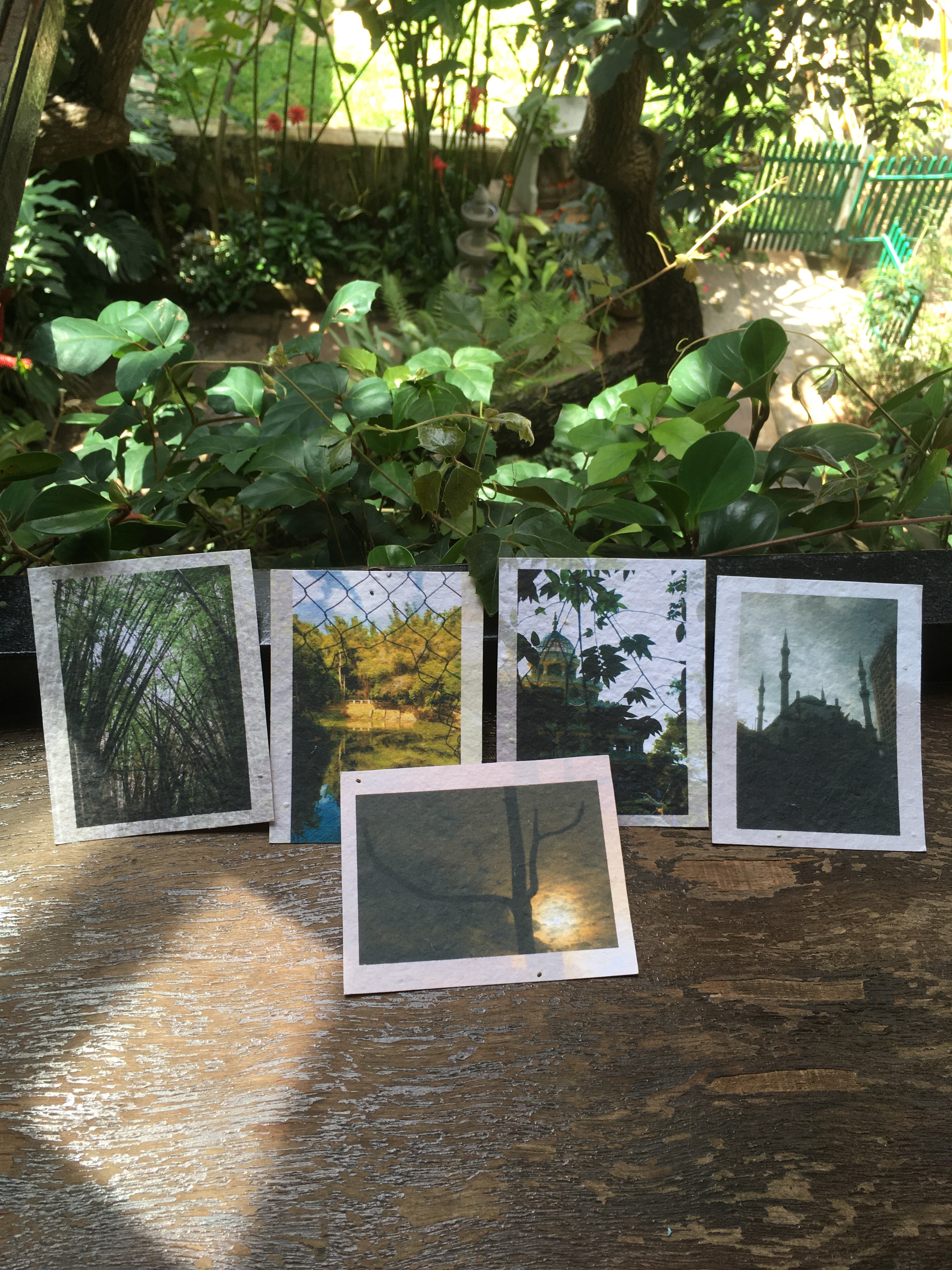 Postcard Set: Bangalore