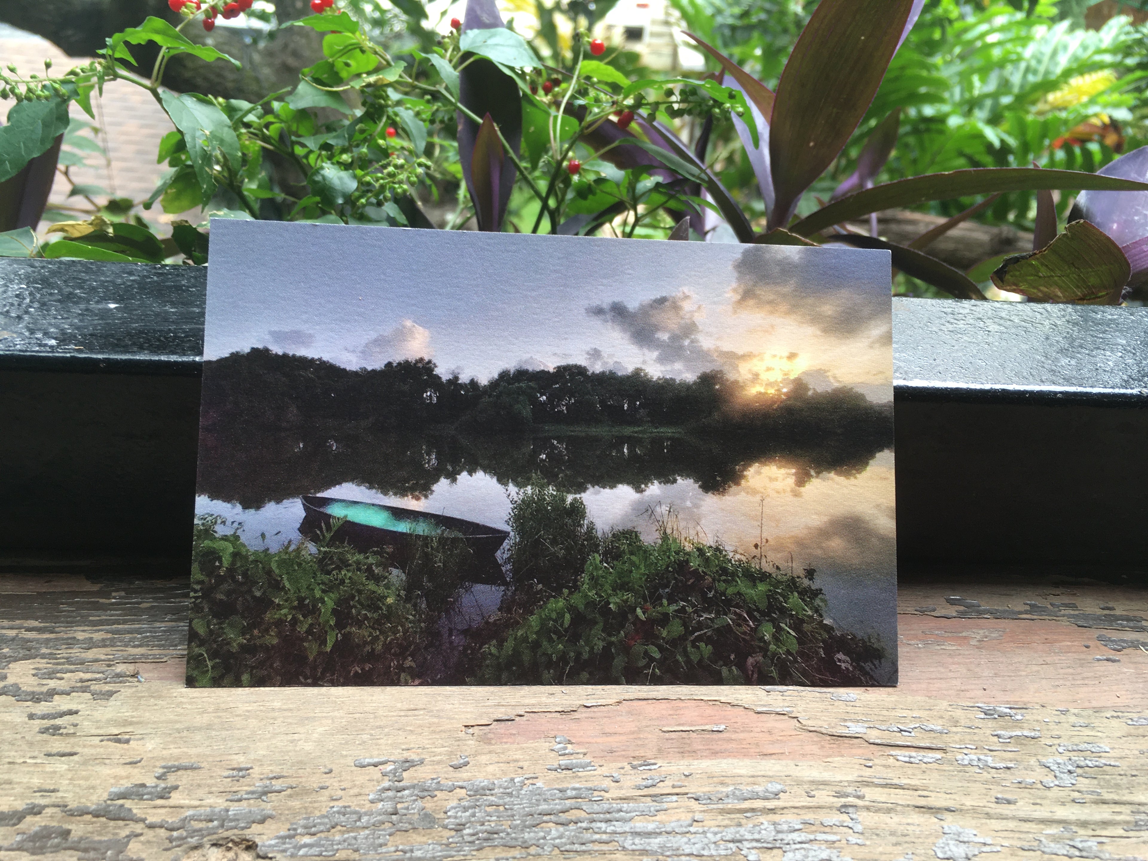 Moira River, Goa (Postcards from Knowhere)