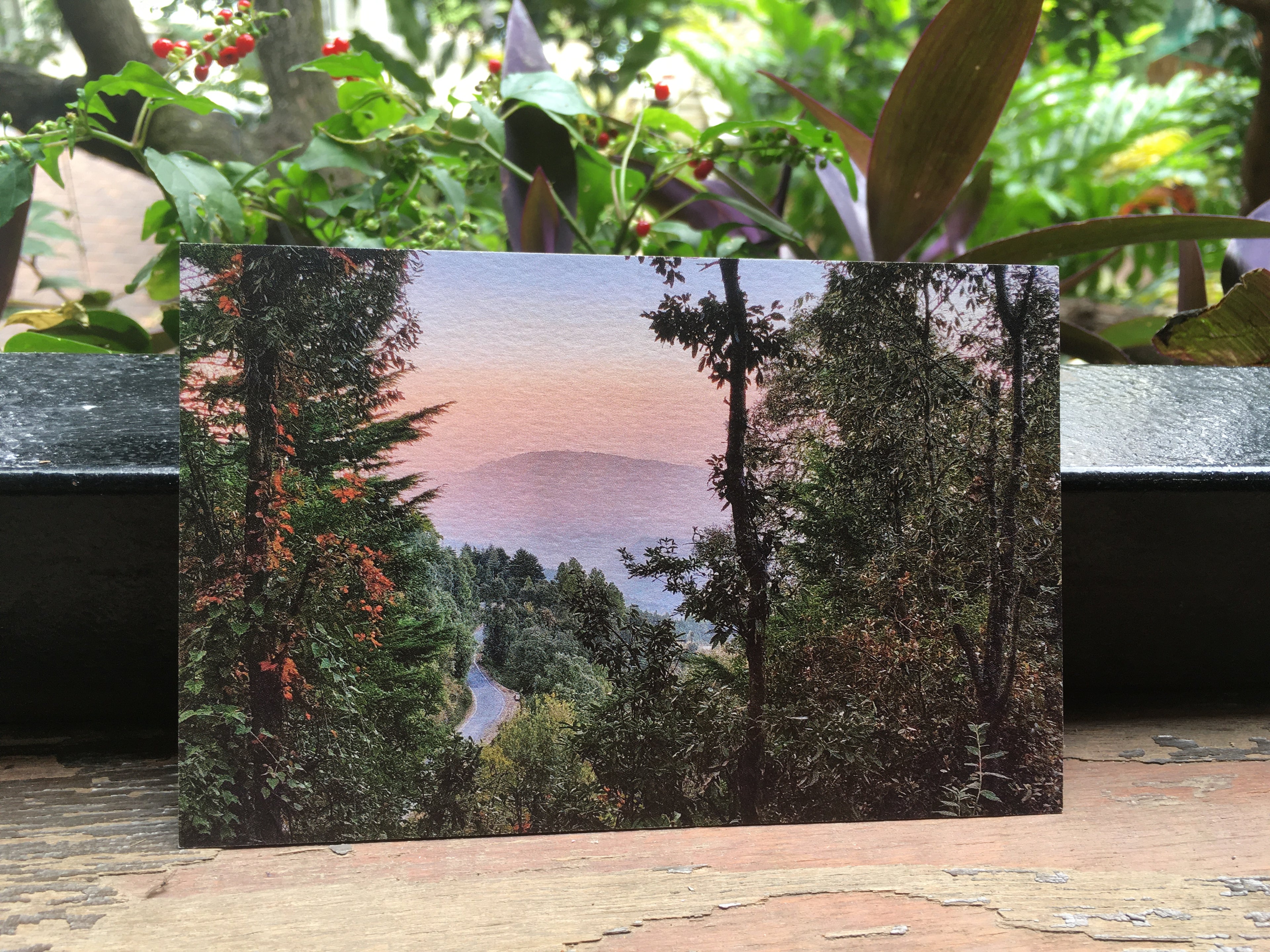 Nathuakhan, Uttarkhand (Postcards from Knowhere)