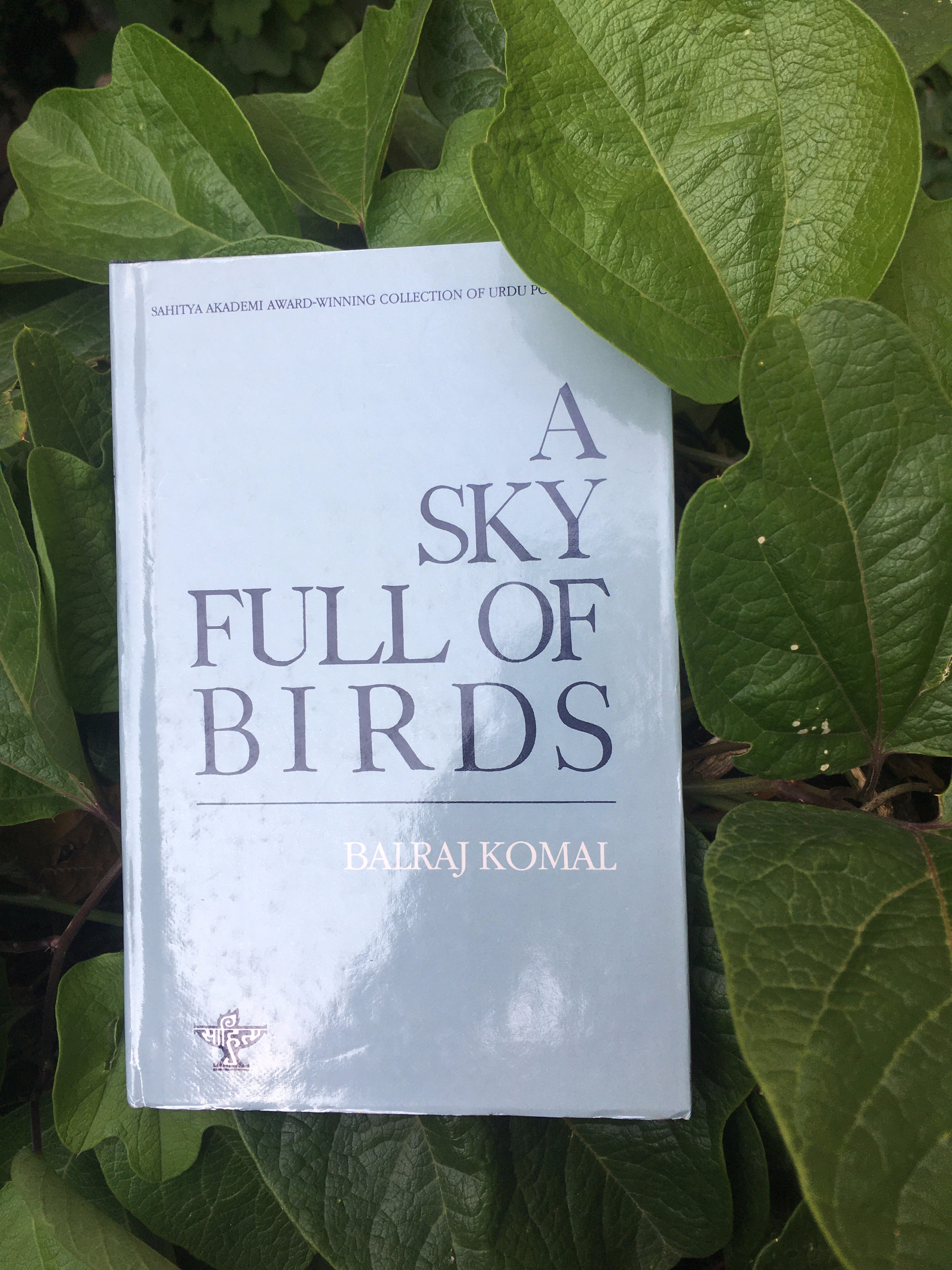 A Sky Full Of Birds