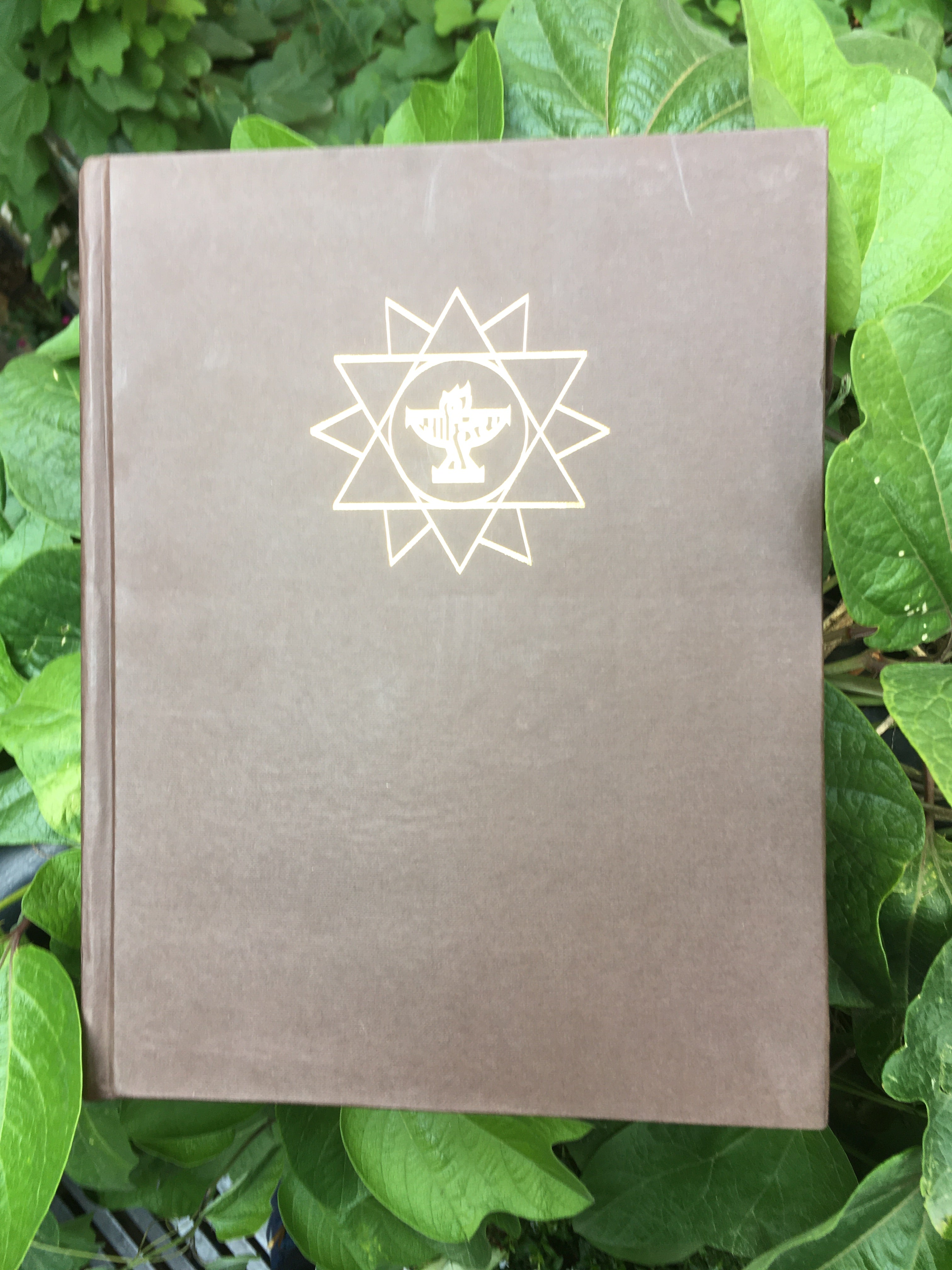 Encyclopaedia of Indian Literature: Vol 2