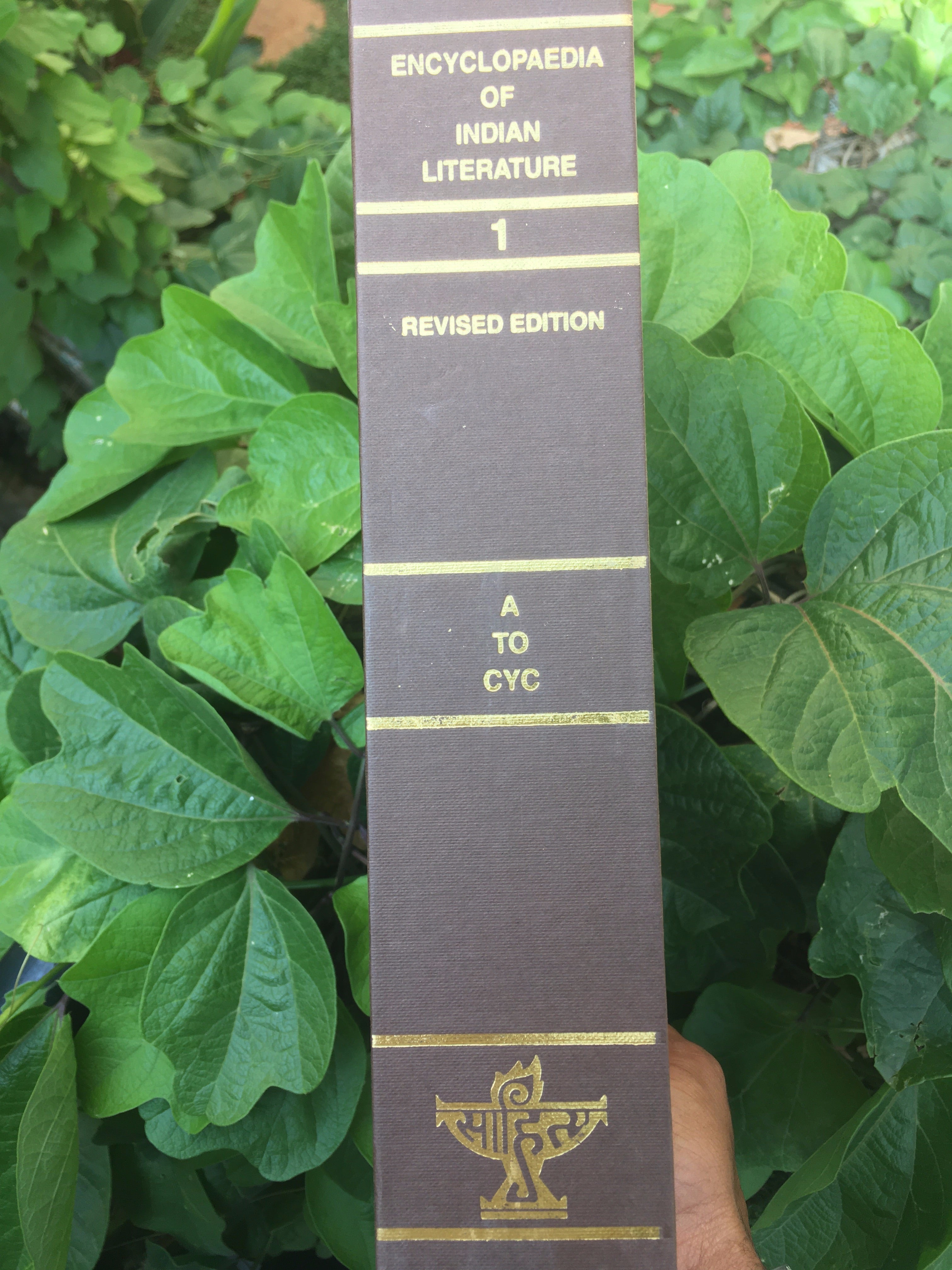 Encyclopaedia of Indian Literature: Vol 1