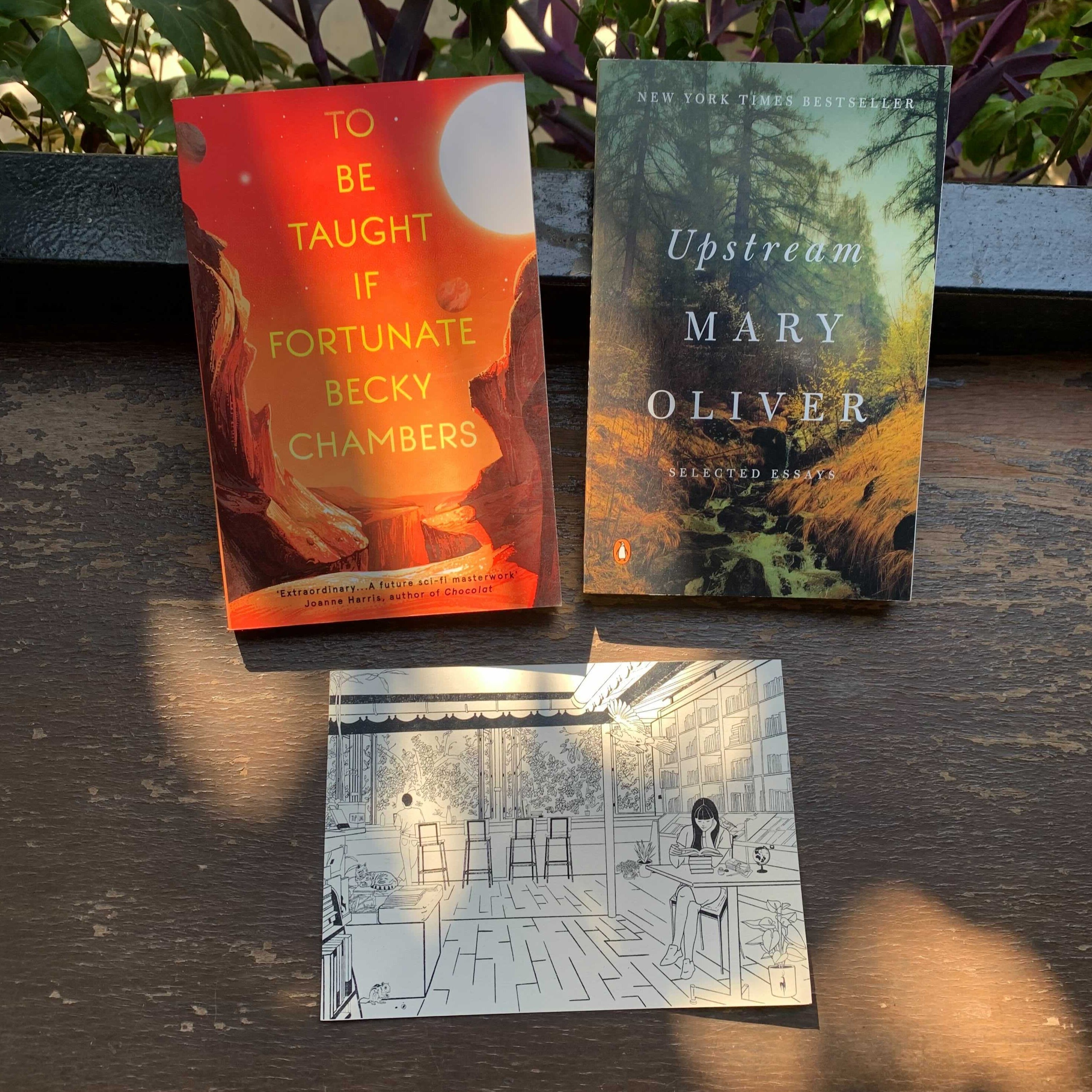 Gift Box — Exploration & Hope