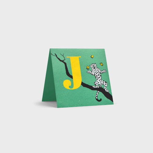 Alphabet Cards by Tara Books