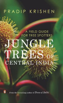Jungle Trees Of Central India - A Field Guide For Tree Spotters