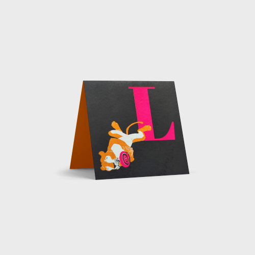 Alphabet Cards by Tara Books