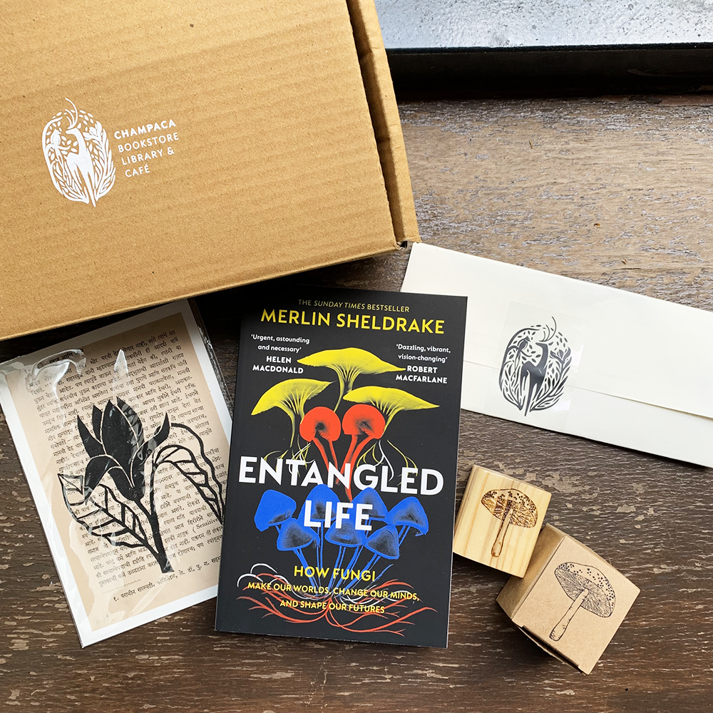Gift Box — Mycelium Mysteries