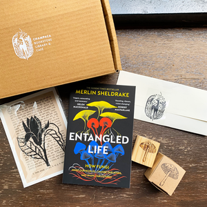 Gift Box — Mycelium Mysteries