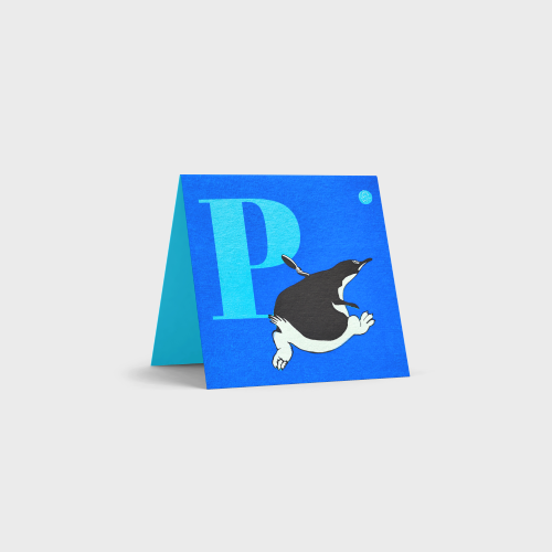 Alphabet Cards by Tara Books
