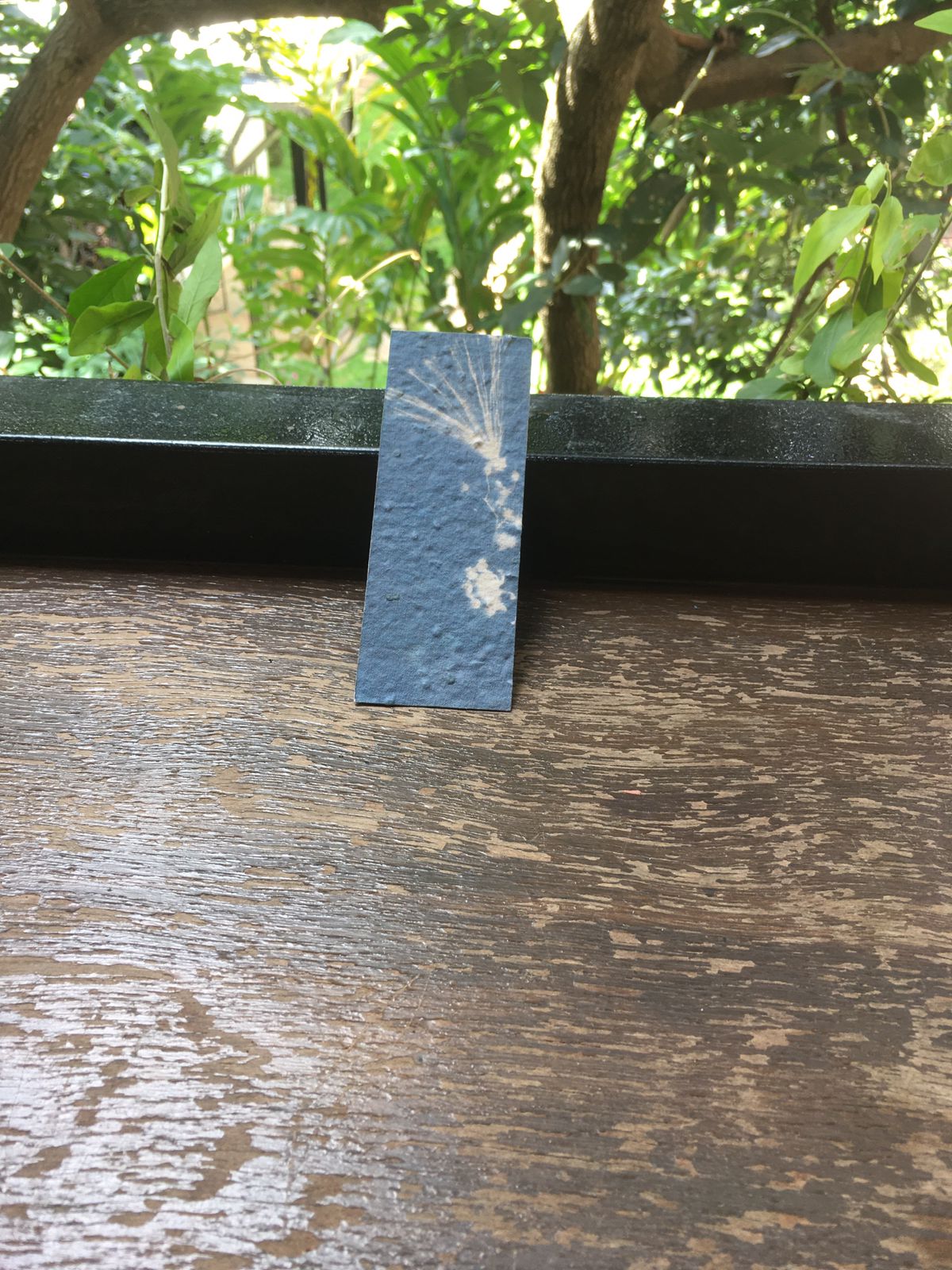 Cyanotype Bookmarks