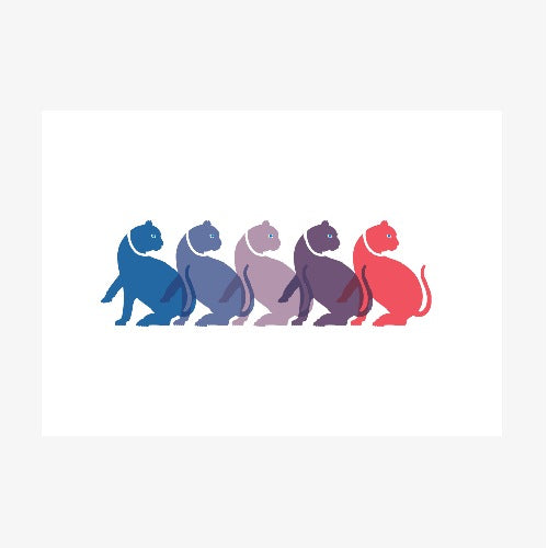 Catward Glances