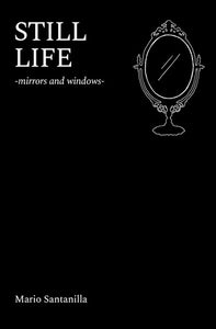 Still Life - mirrors and windows