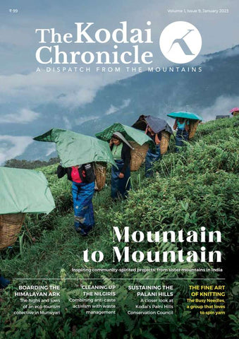 The Kodai Chronicle: Mountain To Mountain