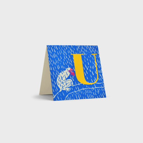 Alphabet Cards by Tara Books