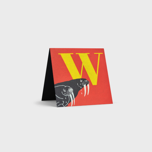 Alphabet Cards by Tara Books
