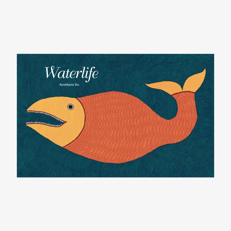 Waterlife