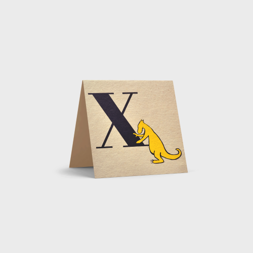 Alphabet Cards by Tara Books