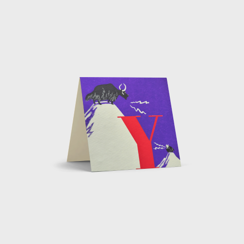 Alphabet Cards by Tara Books