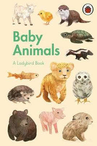 Baby Animals