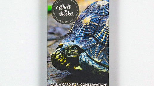 Shell Shocker Cards: A Card Game On The Turtles And Tortoises Of India