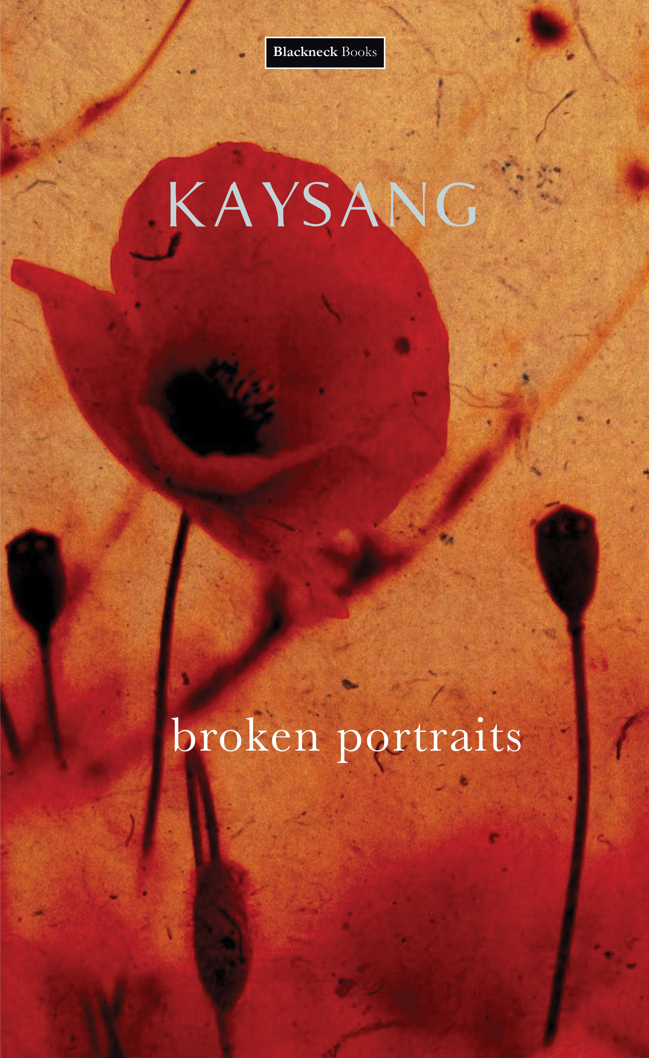 Broken Portraits