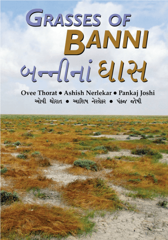 Grasses Of Banni