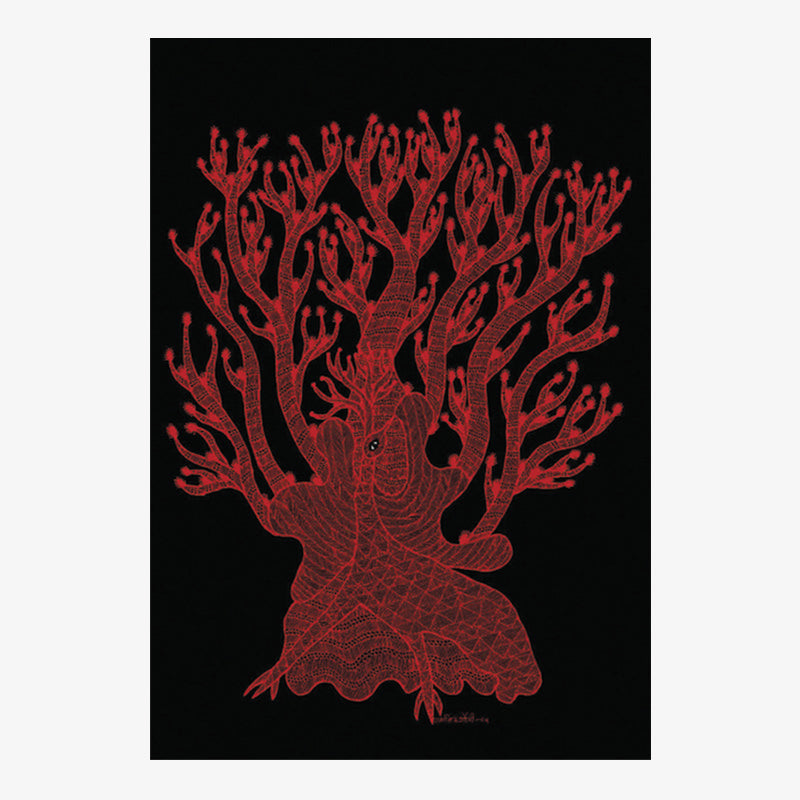 The Peacock Card
