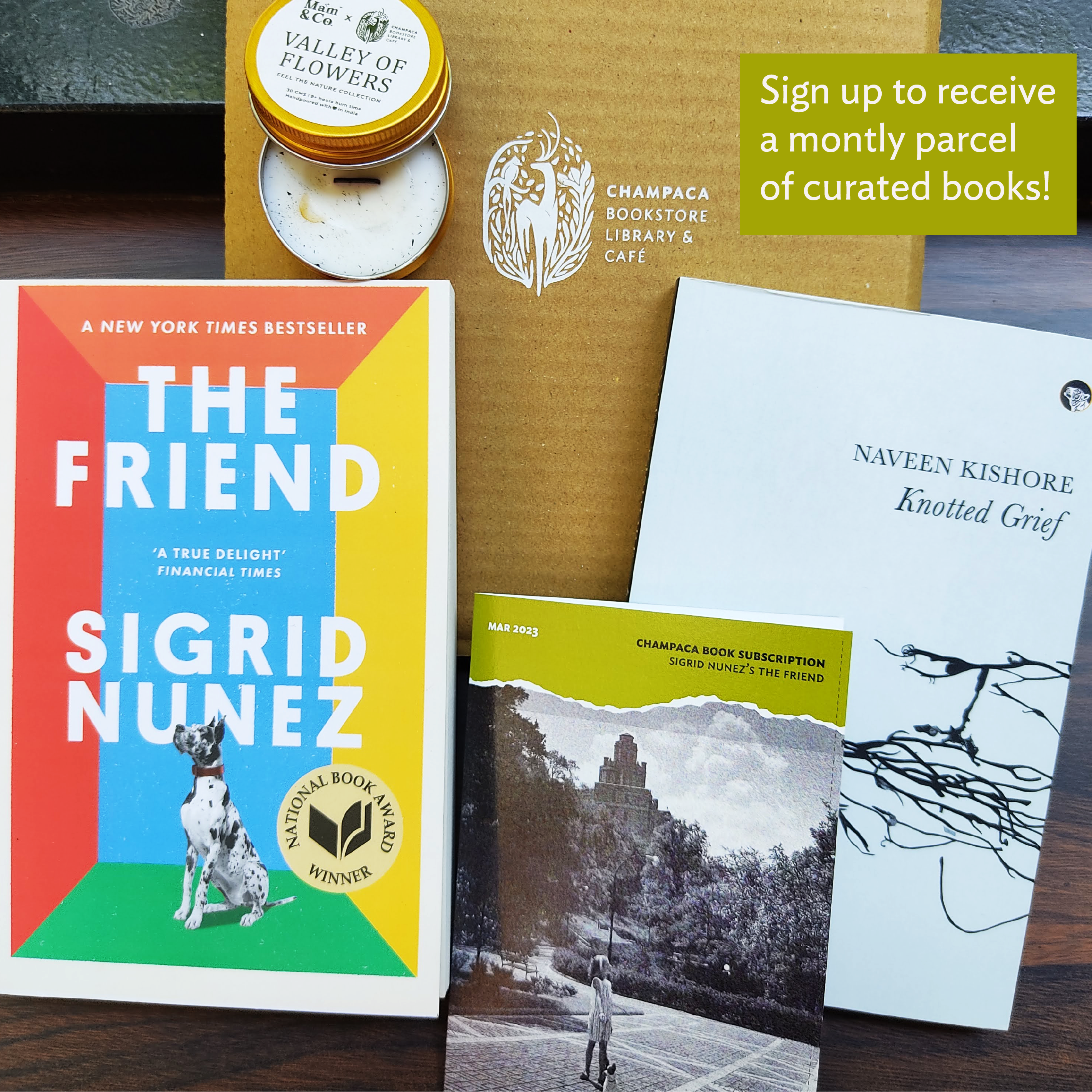 Gift Box — Human-Animal Friendships