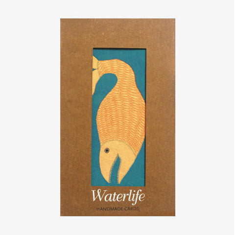 Waterlife Card Box