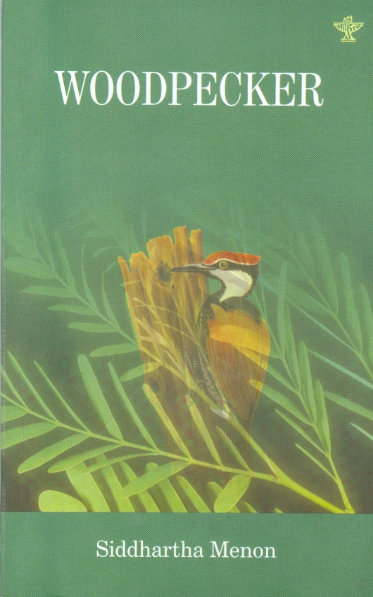 Woodpecker